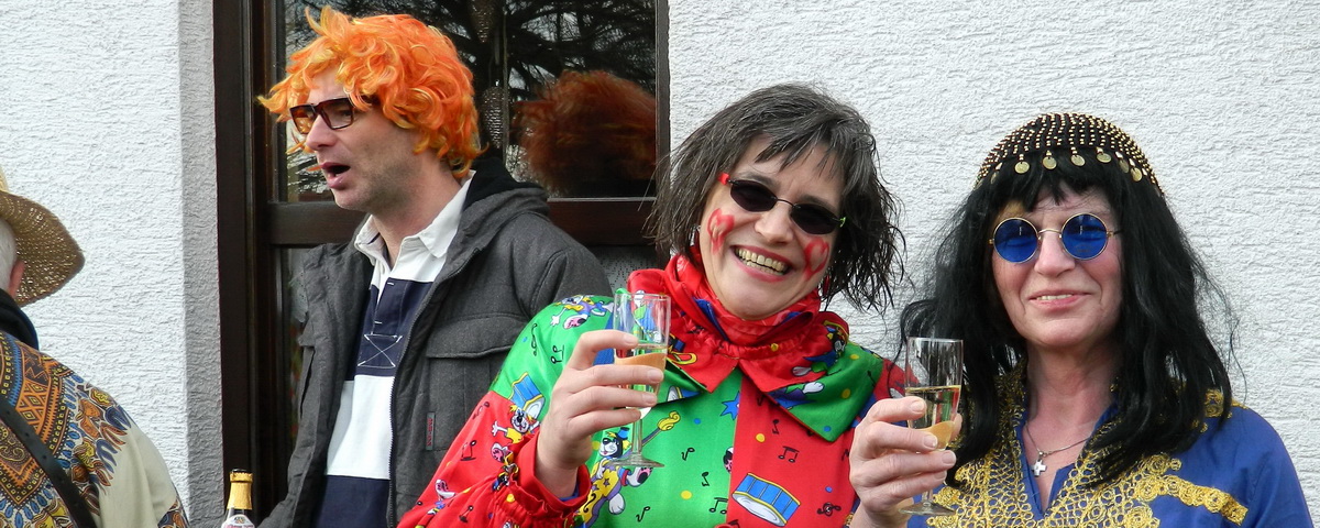 Fasching 2014 in Enkenbach